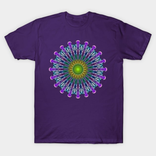 Vector Art Circle Pattern In Lime Purple Blue T-Shirt by taiche